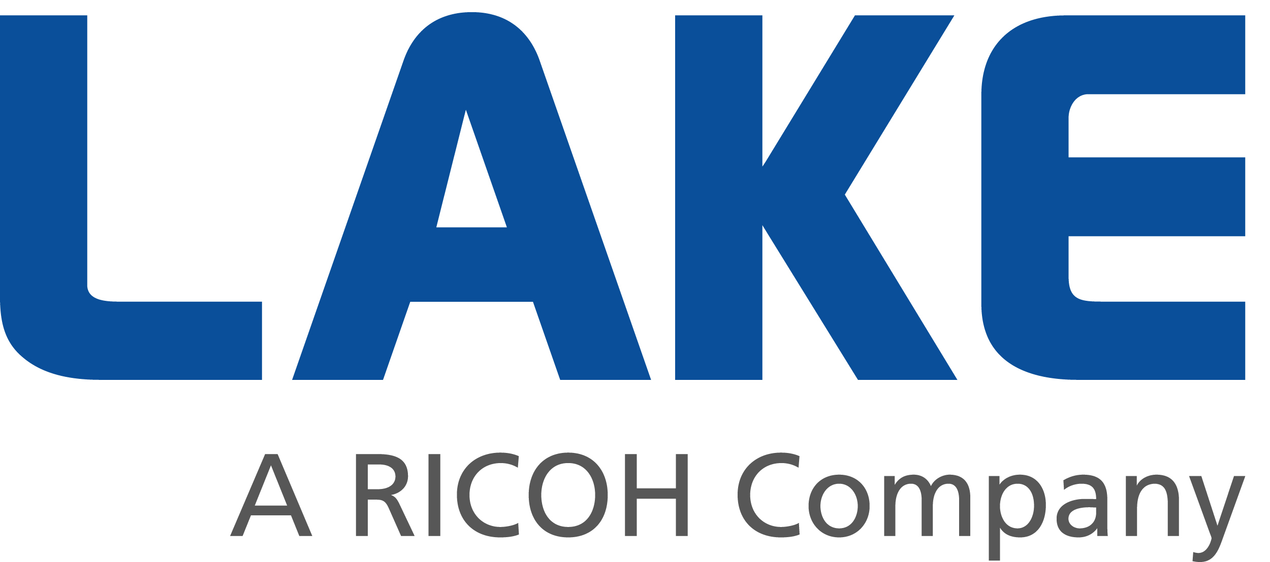 LAKE SOLUTIONS AG | Ricoh Schweiz