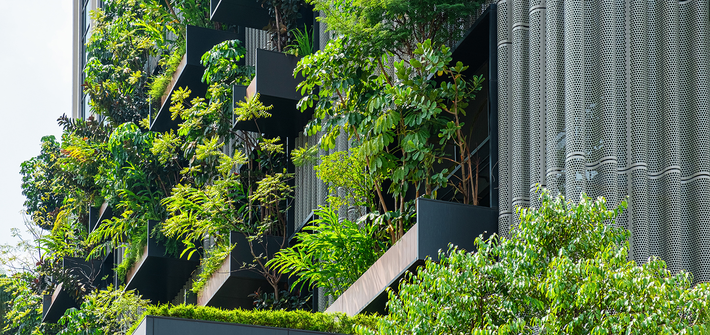 Un edificio con plantas creciendo a los lados.